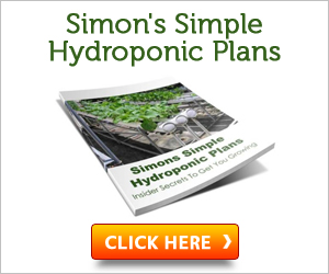 Simon’s Simple Hydroponics Plans 2